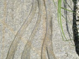 wasser021