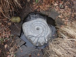 wasser4